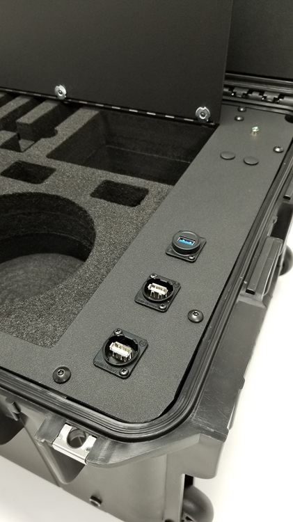 Embedded Connectivity Ports