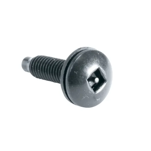 Middle Atlantic Guardian Series Square Post Security Screws W/Washers - 100 Pc from Cases2Go